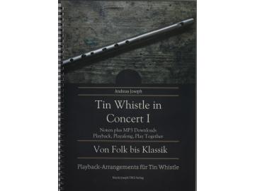 Tin Whistle in Concert