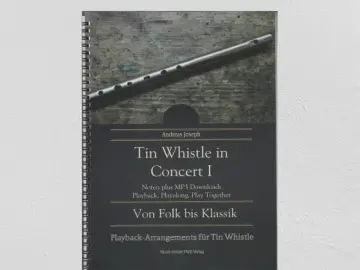 Tin Whistle in Concert